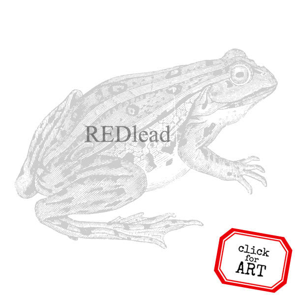 Frog Rubber Stamp