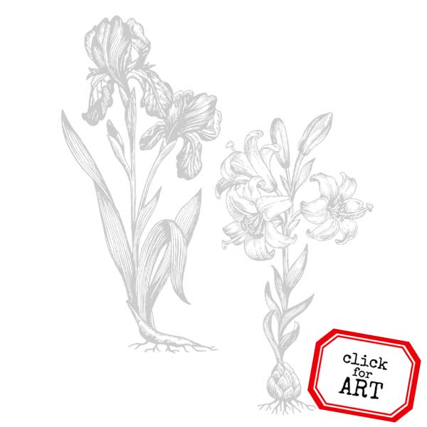 Iris and Lily Flower Rubber Stamp SAVE 25%