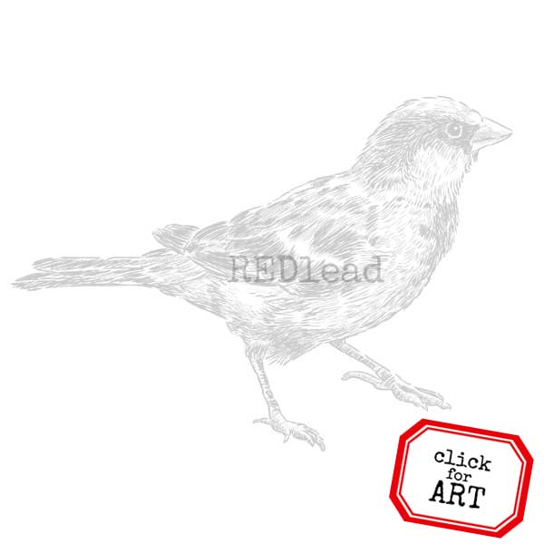 Morning Bird Rubber Stamp Save 30%