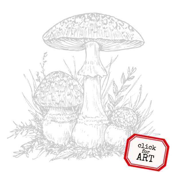 Forest Mushrooms Rubber Stamp