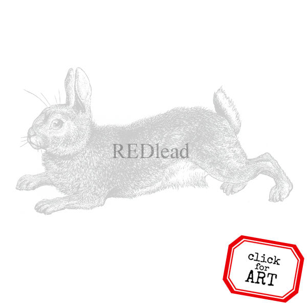 Red Ink Rabbit Stamp Garden Rabbit Rubber Stamp