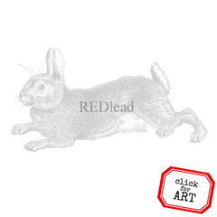Garden Rabbit Rubber Stamp