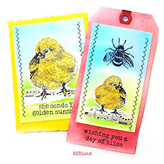 Baby Chick Wood Mount Rubber Stamp