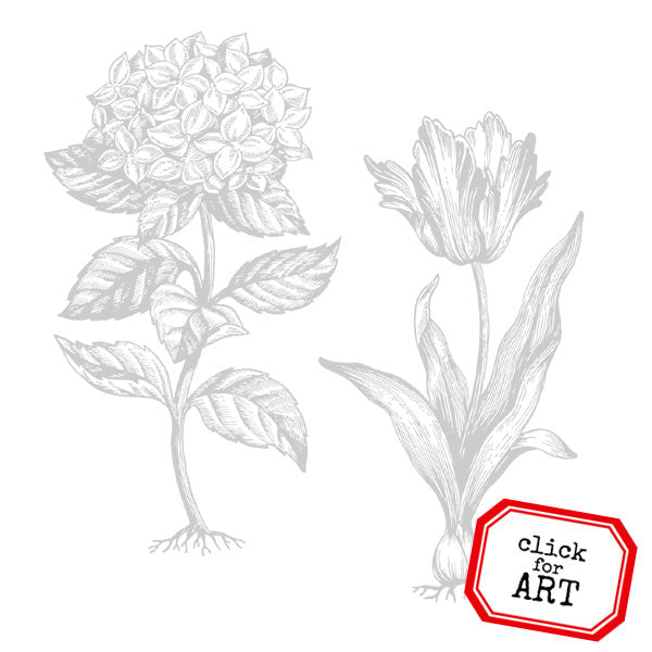 Hydrangea  & Tulip Rubber Stamps