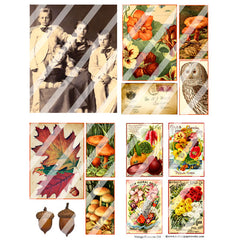 Vintage Elements 334 Autumn Collage Sheet