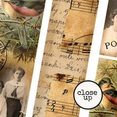 vintage elements collage sheet