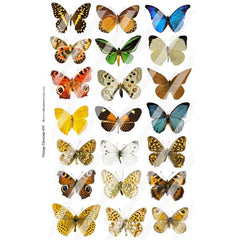 Vintage Elements 455 Butterfly Collage Sheet