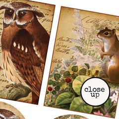 Vintage Elements 338 Autumn Artist Trading Cards Collage Sheet