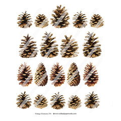 pine cone paper