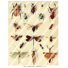 vintage elements collage sheets
