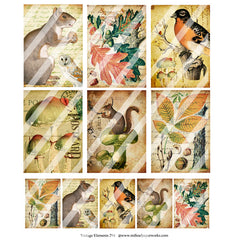 Vintage Elements 294 Collage Sheet