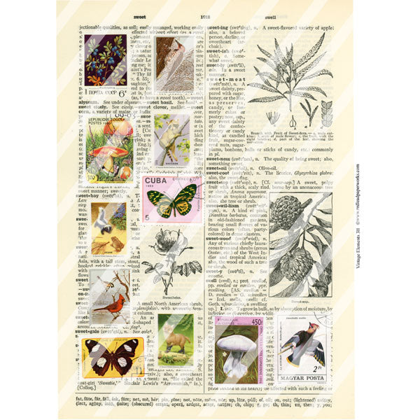 Vintage Elements 311 Collage Sheet