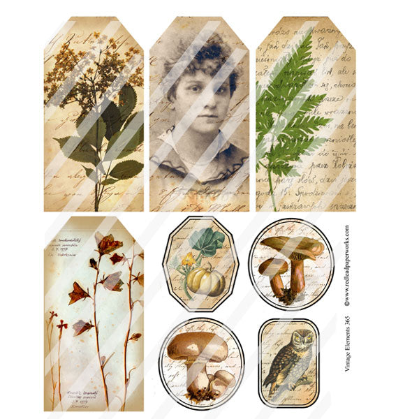 Vintage Elements 365 Autumn Collage Sheet