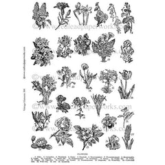 Vintage Elements 388 Flowers Collage Sheet