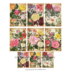 Vintage Elements 389 Roses ATC Collage Sheet