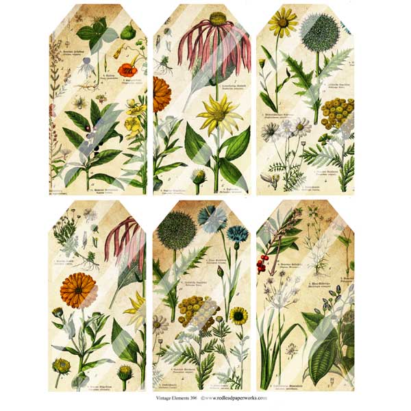 Vintage Elements 396 Autumn Flowers Collage Sheet