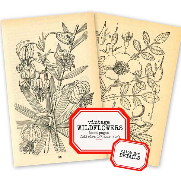 Vintage Style Wildflower Book Pages Paper Pack