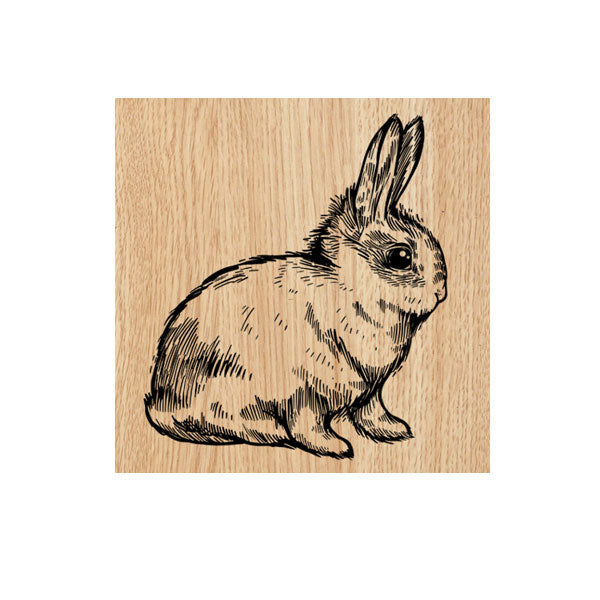 Bunnikins Bunny Wood Mount Rubber Stamp