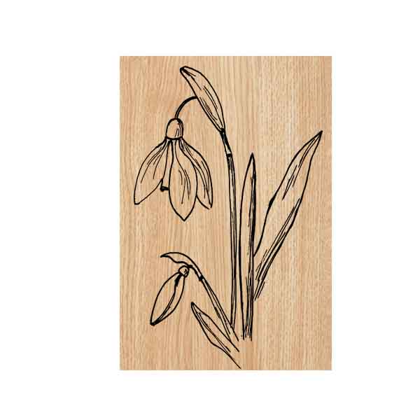 Wood Mount Snow Drops Flower Rubber Stamp
