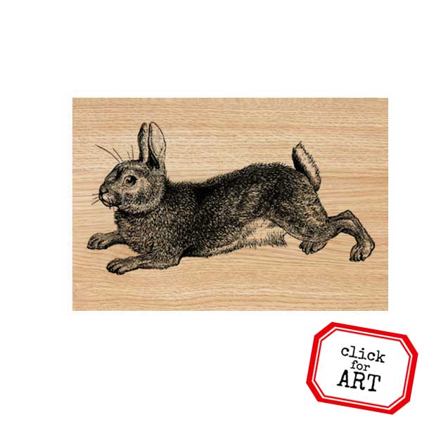Garden Rabbit Wood Mount Rubber Stamp