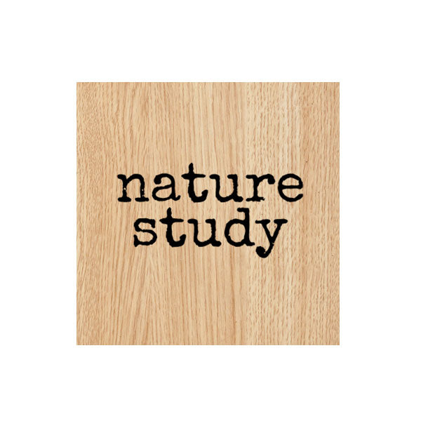 Nature Study Wood Mount Rubber Stamp