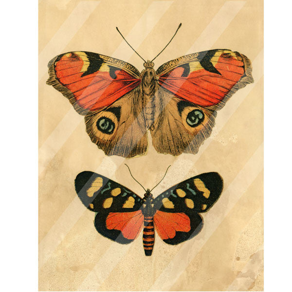 Antique Style 2 Butterflies Paper Print
