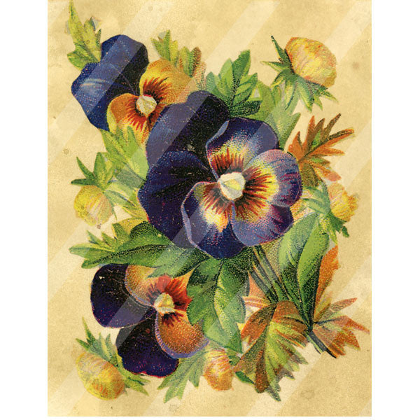 Antique Style Pansies Paper Print