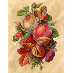 Antique Style Rose Bouquet Paper Print