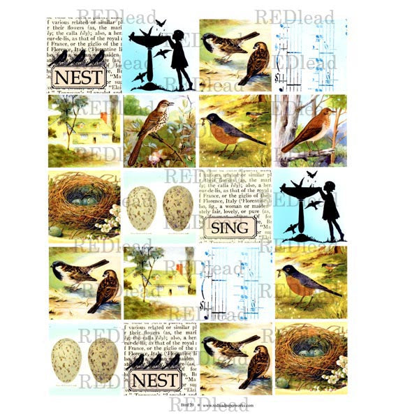 Bird Squares Collage Sheet 20