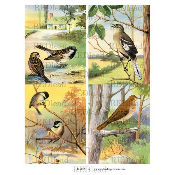 Bird Collage Sheet 32