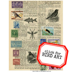 Bird Collage Sheets 