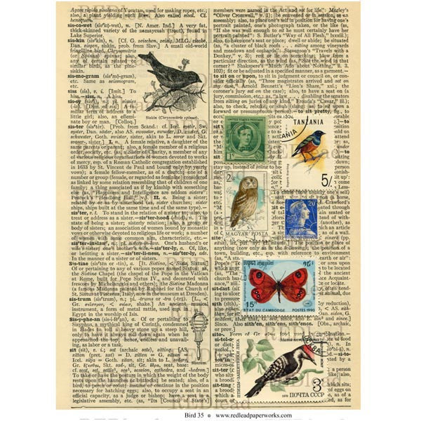 Bird Collage Sheet 35