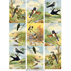 Bird Collage Sheet 4