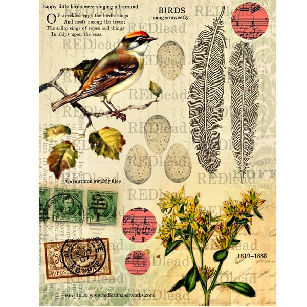 Collage Sheet Bird 40