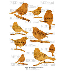 Collage Sheet Bird 43