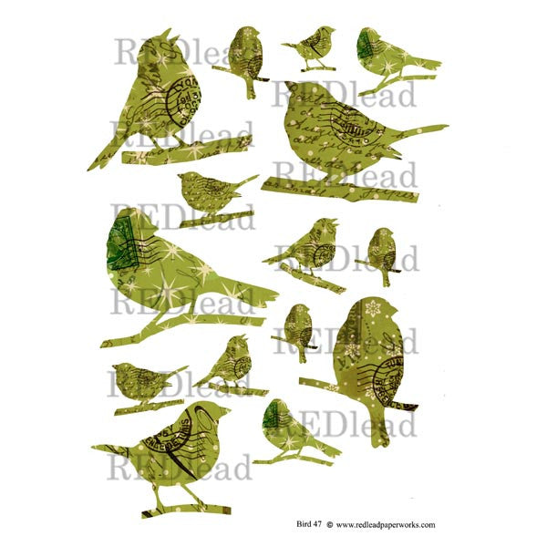 Collage Sheet Bird 47