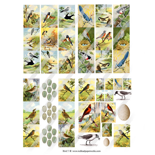 Bird 5 Collage Sheet
