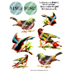 Bird Collage Sheet 52