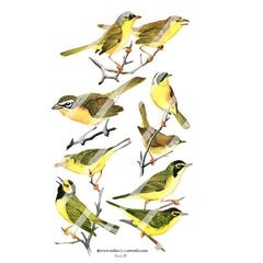 bird collage sheets