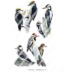 Bird Collage Sheet 60