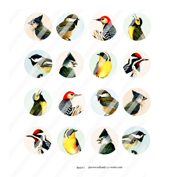 Bird Circles Collage Sheet 64