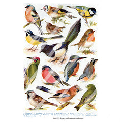 vintage bird collage sheet