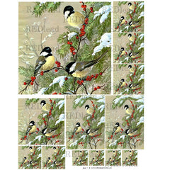 beautiful bird collage sheet