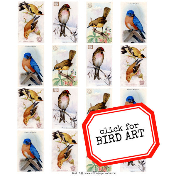 Bird Collage Sheet 15