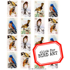 Bird Collage Sheets