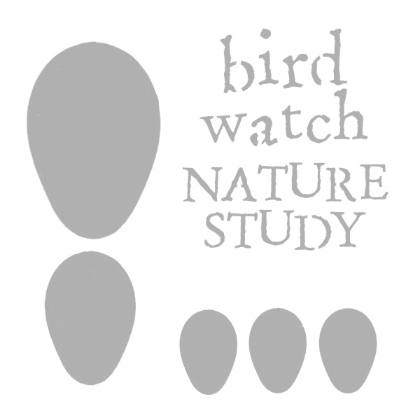 Bird Watch Stencil 6 x 6