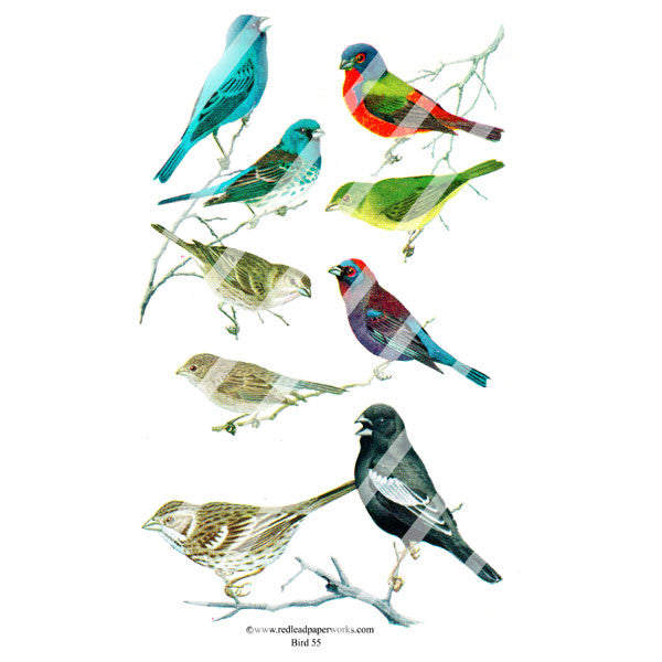 Bird 55 Collage Sheet