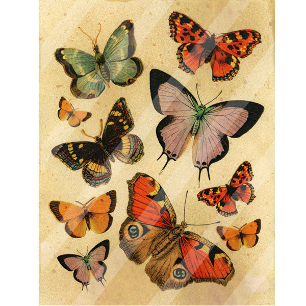Antique Style Butterfly Flutter Paper Print
