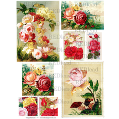 Collage Sheet Vintage Elements 8 - Roses