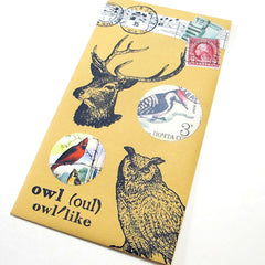 owl mail art 